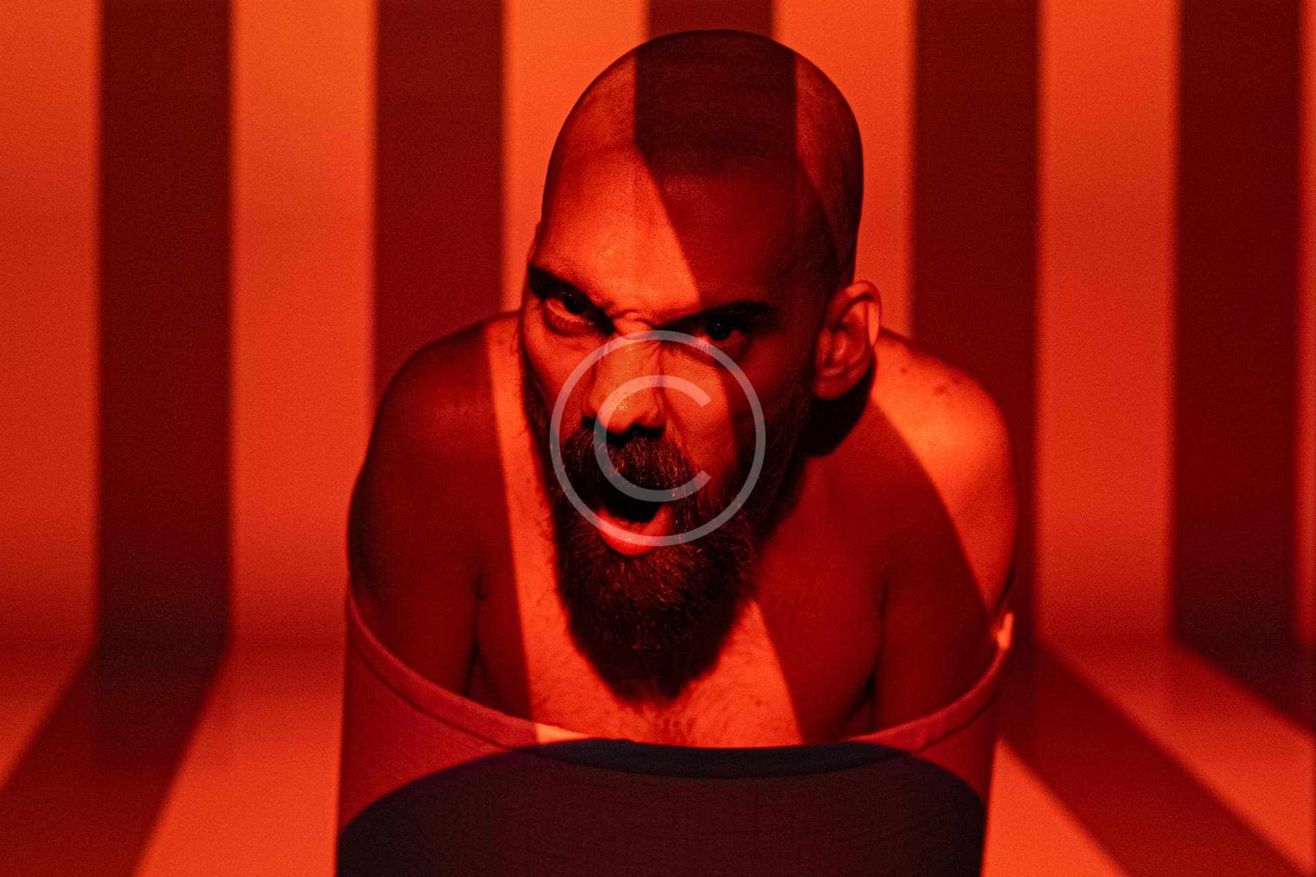 portfolio-image6-copyright